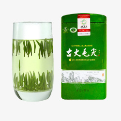 宁强雀舌天府龙芽竹叶炒青茶高清图片