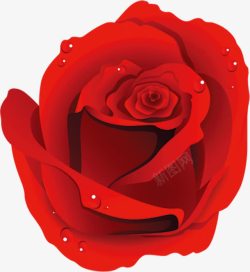 手绘水珠红色娇艳玫瑰素材
