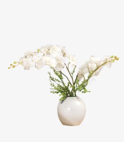 植物白色花瓶花朵素材