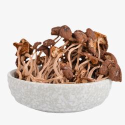 茶树菇茶树菇食材高清图片