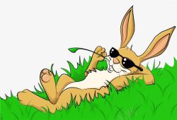 休息中兔子在杂草中休息高清图片