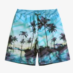 海边度假速干沙滩裤椰树印花短裤高清图片