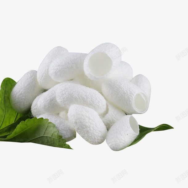 优质蚕茧壳png免抠素材_88icon https://88icon.com 洗脸洁面 胶原蛋白 蚕茧 蚕衣
