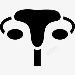 输卵管子宫图标高清图片