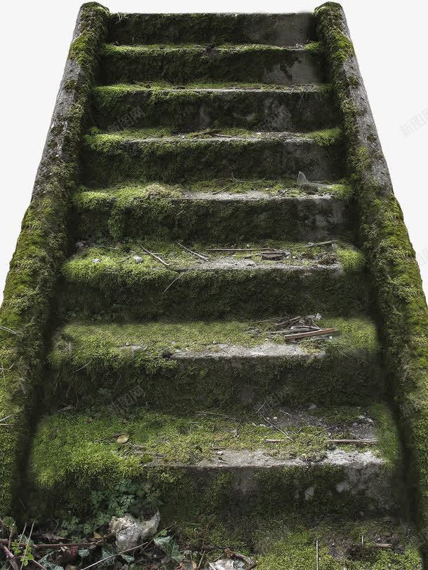 长青苔的阶梯png免抠素材_88icon https://88icon.com 小路 攀爬 攀登 水泥 绿色的 阶梯 青苔 高处