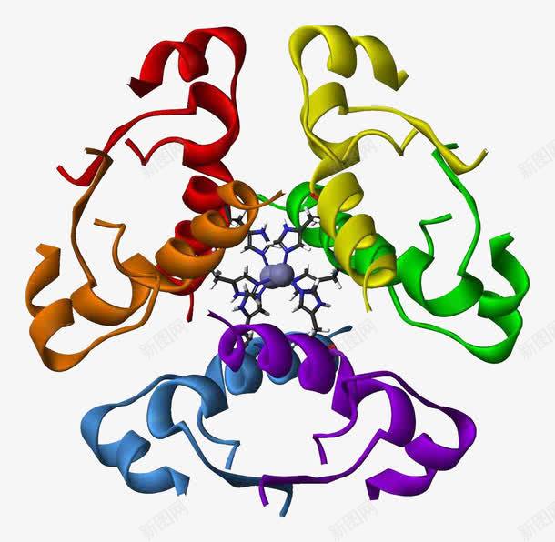 蛋白质胰岛素锌六聚体png免抠素材_88icon https://88icon.com 生物 结构 胰岛素 蛋白质分子 蛋白质结构