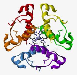 锌蛋白质胰岛素锌六聚体高清图片