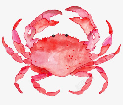 粉红色手绘的小螃蟹素材