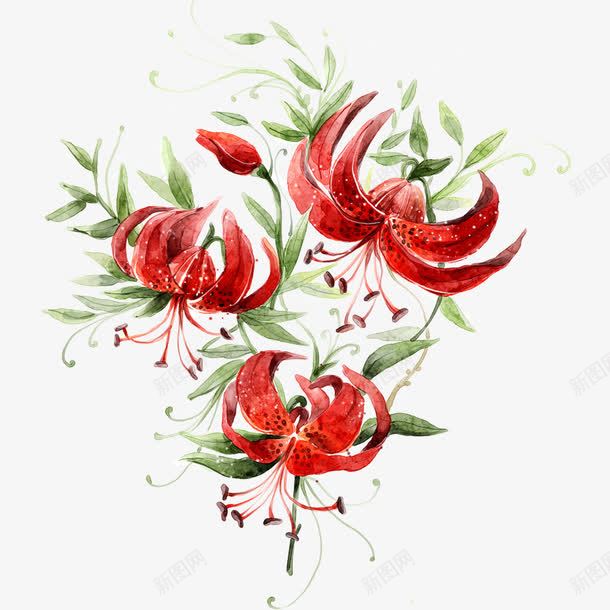 鲜花抓告诉你png免抠素材_88icon https://88icon.com 矢量装饰 红色的花 花朵 装饰 鲜花