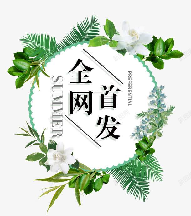 全网首发夏季png免抠素材_88icon https://88icon.com 上新 全网首发 夏季 夏日 文字设计 新品 清新 绿色 艺术字