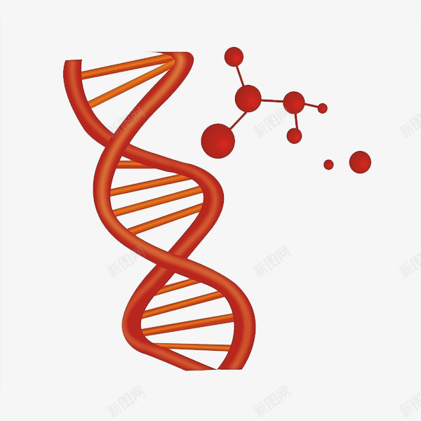 DNA分子链psd免抠素材_88icon https://88icon.com DNA DNA双螺旋结构图片 分子链 细胞