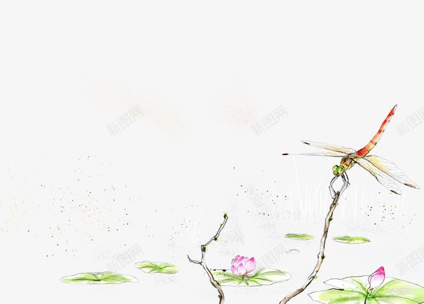 蜻蜓插画png免抠素材_88icon https://88icon.com 手绘画 浮萍 湖面 芦苇丛 荷花