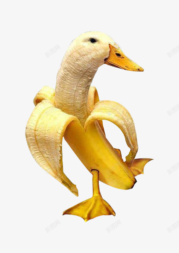 香蕉png免抠素材_88icon https://88icon.com 创意 拼贴 色彩 鸭子 黄色