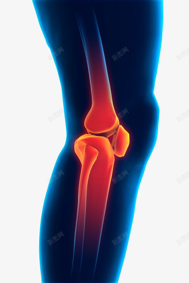 膝关节png免抠素材_88icon https://88icon.com 人物模型 关节 关节膝盖疼痛 疼痛 腿疼 膝盖