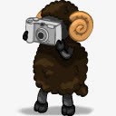 羊摄影师羊ariesicons图标图标
