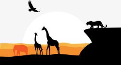 非洲猎豹长颈鹿雄鹰草原远景素材