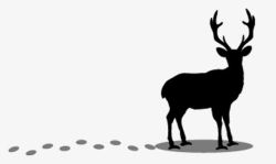 黑白的鹿黑色的小鹿剪影图高清图片
