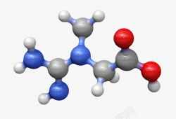 最小单元蓝红色营养补充分子模型肌酸分子高清图片