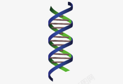 DNA生物链素材