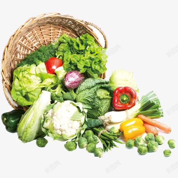 有机蔬菜png免抠素材_88icon https://88icon.com 圆白菜 彩椒 洋葱 胡萝卜 菜类图片 菜花 蔬菜
