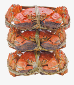 清蒸大闸蟹红色美味的食物清蒸大闸蟹实物高清图片