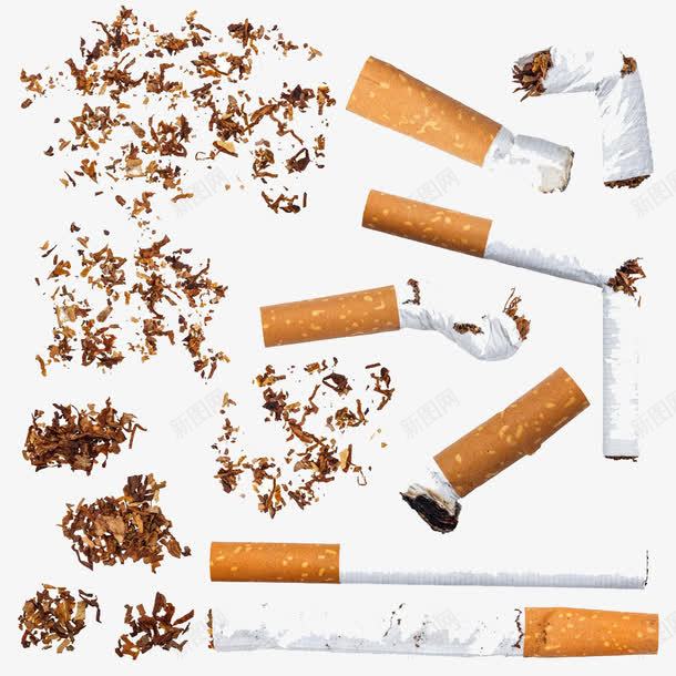 烟头与香烟png免抠素材_88icon https://88icon.com 一堆香烟 土烟 抽烟 满地 烟 烟叶 烟头与香烟图片 烟草 烟雾 高清免扣素材