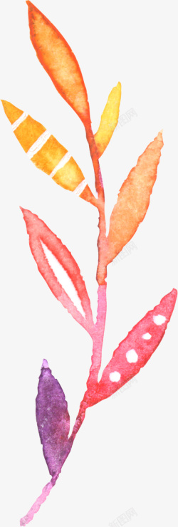 手绘水彩植物素材