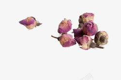 四季养生玫瑰花茶的养生之法高清图片
