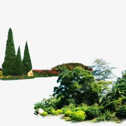 创意园林景观绿化植物高清图片