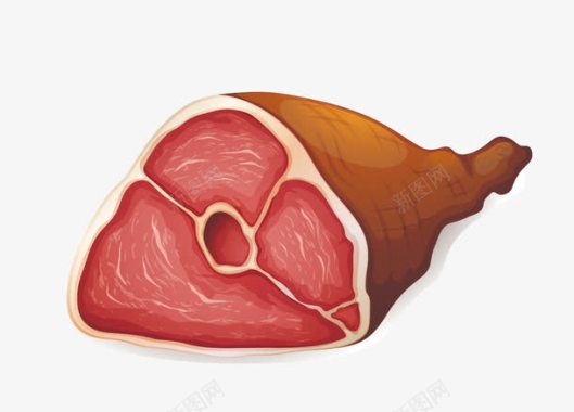 鸡鸭鱼肉卡通手绘肉类食物鸭肉矢量图图标图标