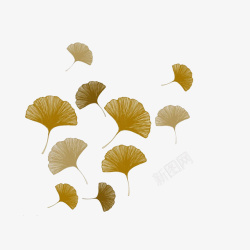 叶子伞飘落的银杏叶高清图片