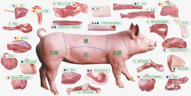 金锣冷鲜肉png免抠素材_88icon https://88icon.com 分类 动物 家畜 猪肉 猪肉分类 鲜肉