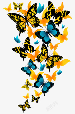 多种多样的蝴蝶大图素材