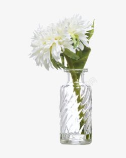 玻璃的瓶子鲜花插花高清图片