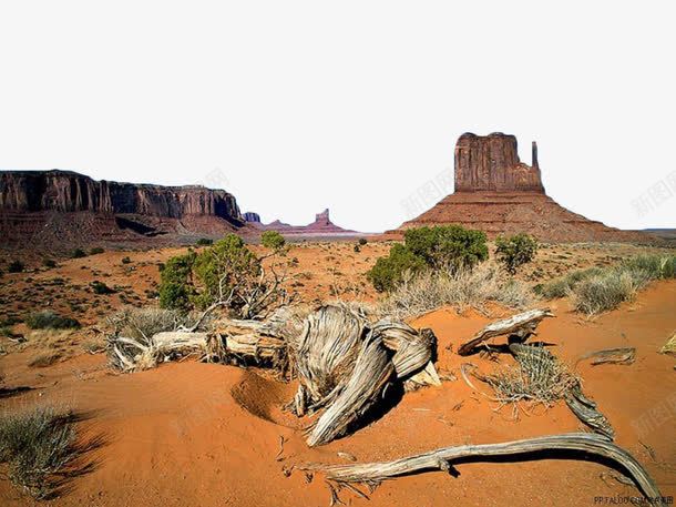 沙漠枯树png免抠素材_88icon https://88icon.com 岩石 戈壁 戈壁滩 枯树 植物 沙漠 自然景观