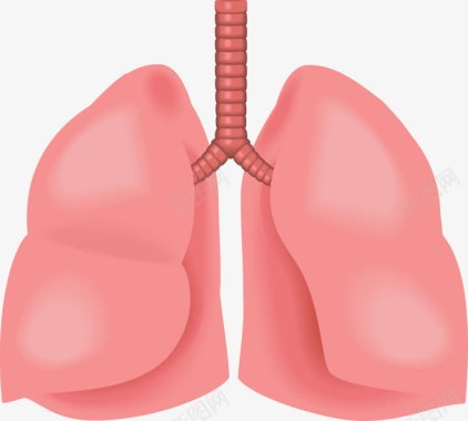 组成的心心肺器官图标图标