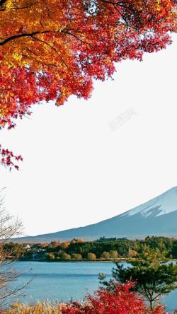 富士山下的秋天素材