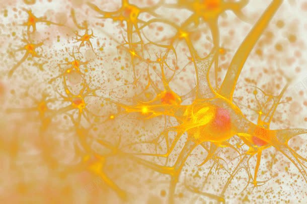 神经系统回路演示图去背景png免抠素材_88icon https://88icon.com 中枢神经系统 人体组织 神经 神经元 神经系统 神经结构