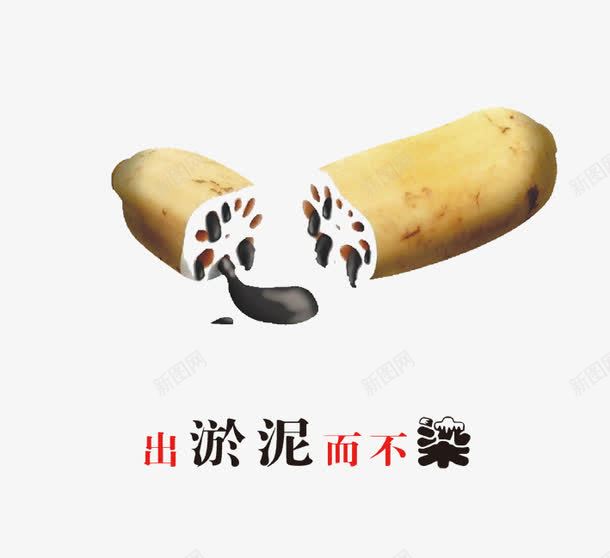 反腐倡廉出淤泥而不染png免抠素材_88icon https://88icon.com 出淤泥而不染 反腐倡廉 反腐倡廉出淤泥而不染 廉政 莲藕