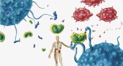 人体免疫功能抗体蛋白质高清图片