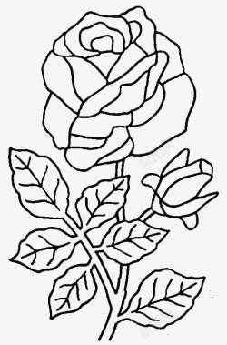 黑白盛开的玫瑰花简笔画素材
