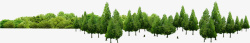 树木浅绿色小树林树木高清图片