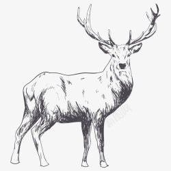 一只羚羊卡通手绘一只羚羊高清图片