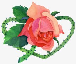 妖艳凄美手绘带刺玫瑰高清图片