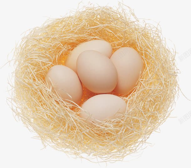 鸡蛋png免抠素材_88icon https://88icon.com 一筐蛋 简洁鸡生蛋 蛋 鸟巢 鸟巢图 鸡蛋