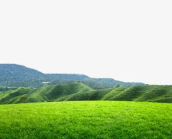 嫩绿茶叶高山边的茶田高清图片