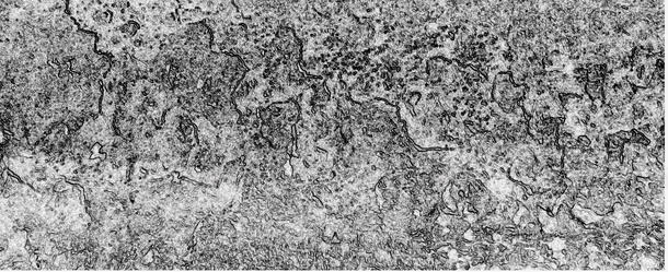 冷灰色斑驳铁锈腐蚀块状纹理png免抠素材_88icon https://88icon.com 冷色调 古朴 古老 外表 底纹 废铁 灰色 纹理 背景 铁锈纹理