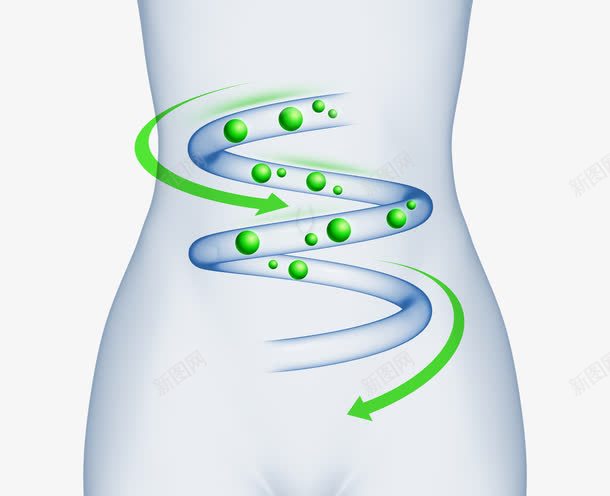 创意肠道广告png免抠素材_88icon https://88icon.com 人体器官 人体模型 医疗护理