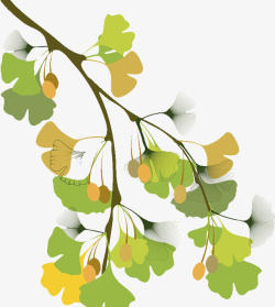 插图银杏叶树枝与叶子素材