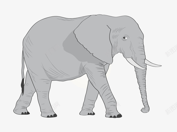 白象卡通特写png免抠素材_88icon https://88icon.com 亲昵 动物世界 卡通特写 哺乳动物 大象 白象 象牙